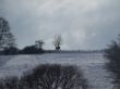 DSCF2578.JPG
